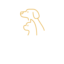 Le Dix'vins - restaurant BELFORT - restaurant BELFORT